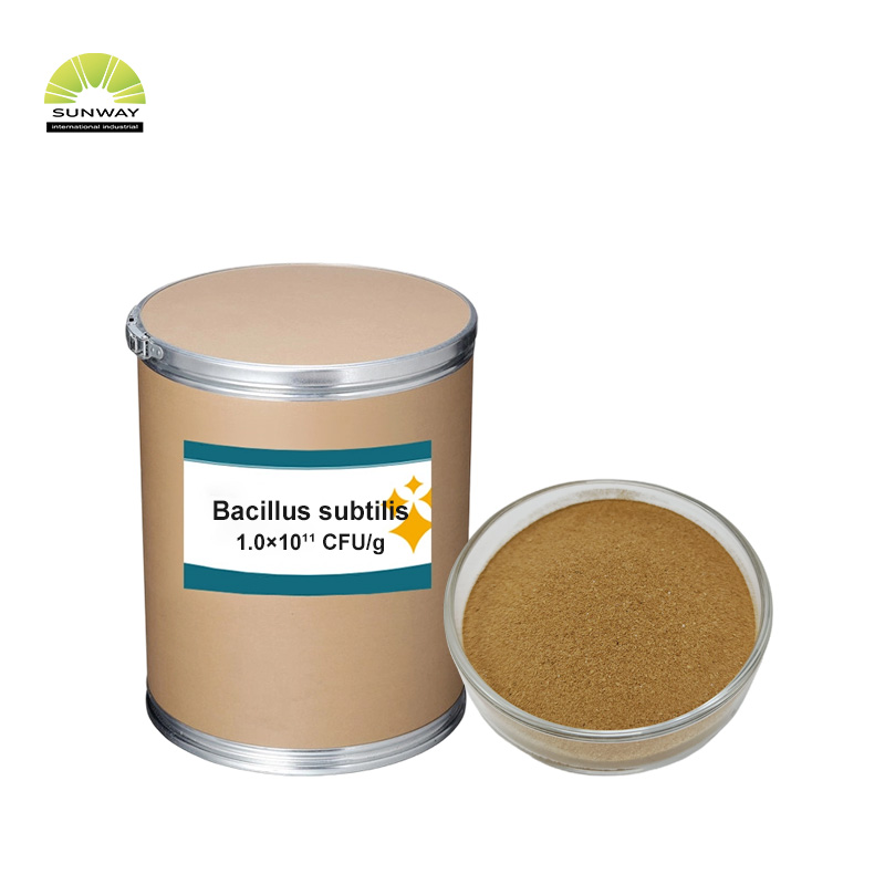 Grau de alimentação Clostridium Butyricum Probiótico para Aves Frango Frango Camada Porco Gado Leite Peixe Camarão Animal de Estimação Alimentação