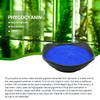 Pigmento de cor azul natural grau alimentício espirulina E18 ficocianina em pó