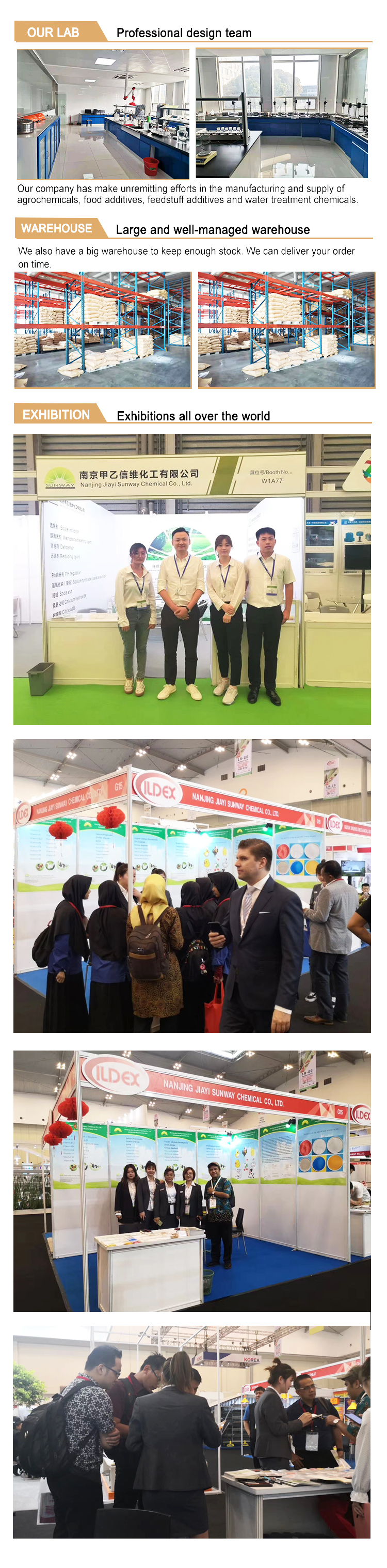 equipe de c&aacute;lciopropionato