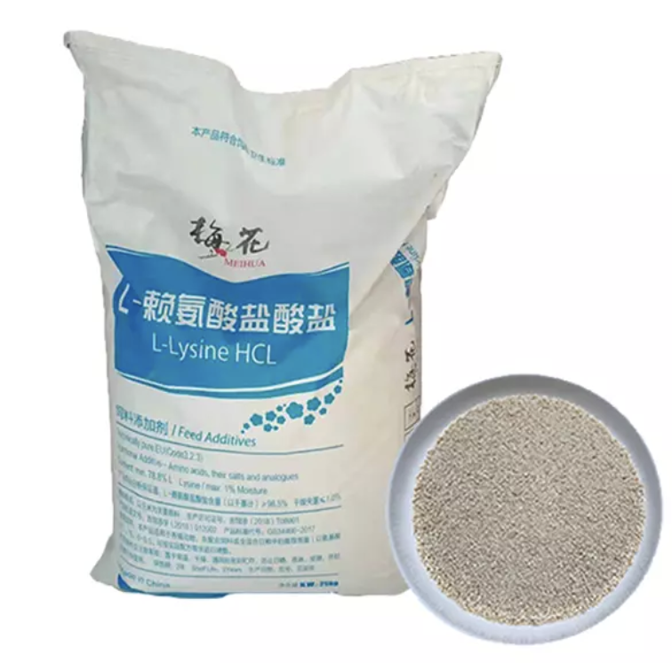 &Uacute;ltima atualiza&ccedil;&atilde;o 2025-10-14 13.57.01