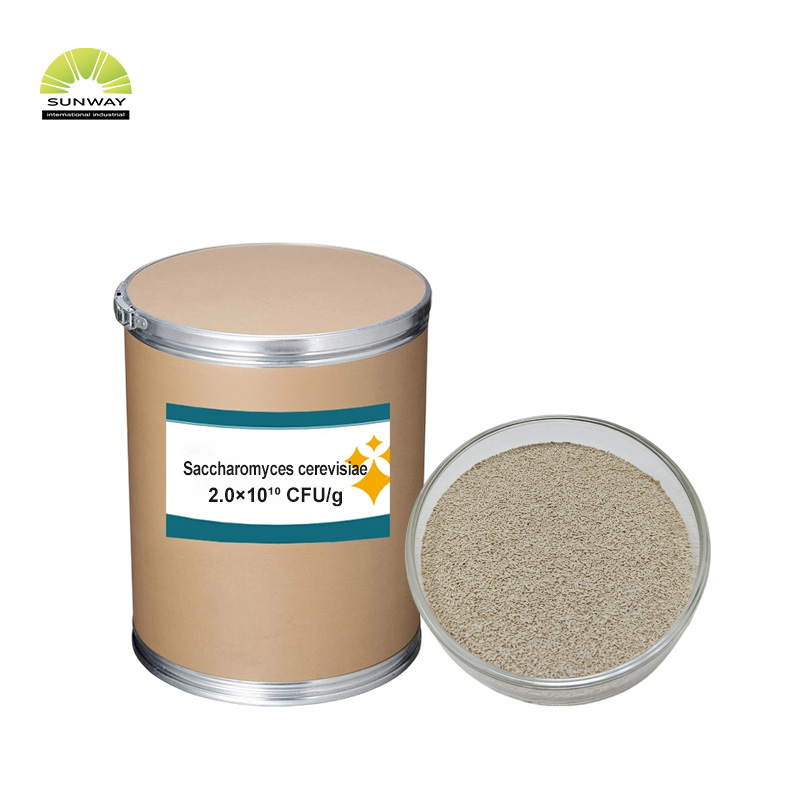 Fábrica 20 bilhões de saccharomyces cerevisiae cervejeiros fermento em pó aditivo para alimentação animal para aves domésticas gado porco gado ovelhas