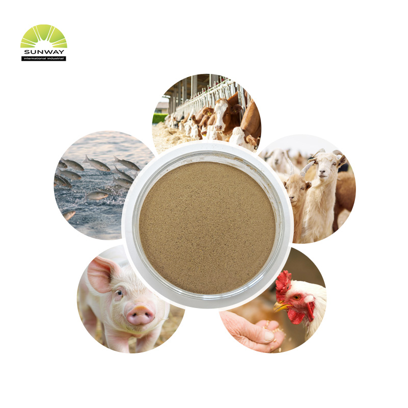 Grau de alimentação 50000u/g enzima mananase beta mananase para aumentar a imunidade animal