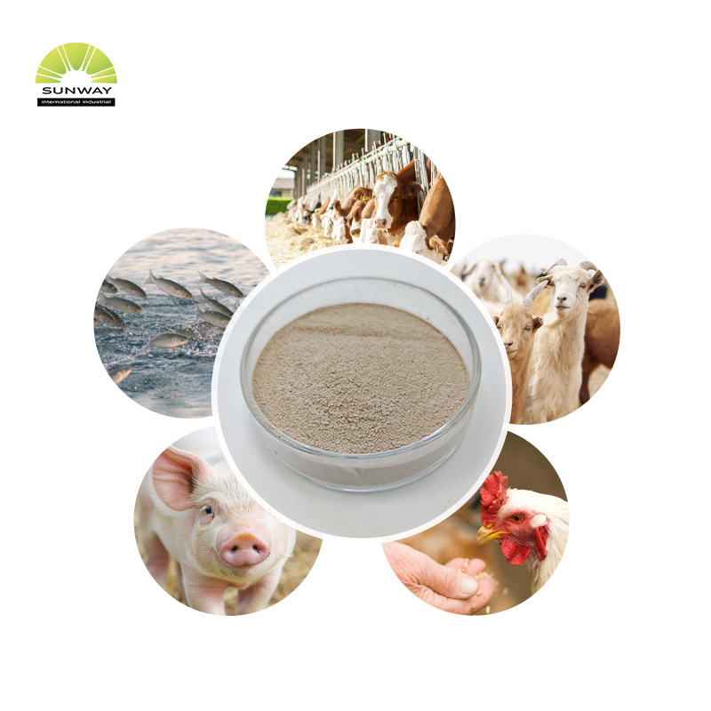 Xilanase termoestável da enzima xilanase de grau de alimentação para aves de capoeira