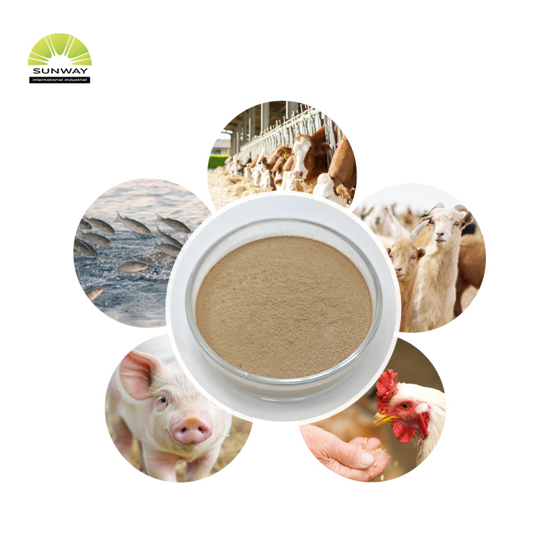 Preço de pó de enzima alfa-amilase termoestável de alta qualidade