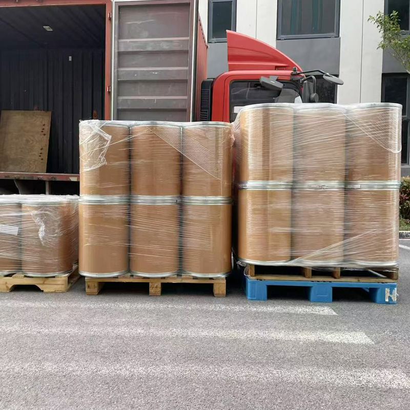 Grau de alimentação Bacillus Coagulans Probiótico Bacillus Coagulans Pó para Aves