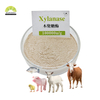 Xilanase termoestável da enzima xilanase de grau de alimentação para aves de capoeira