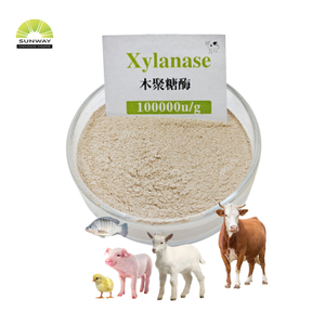 Xilanase termoestável da enzima xilanase de grau de alimentação para aves de capoeira