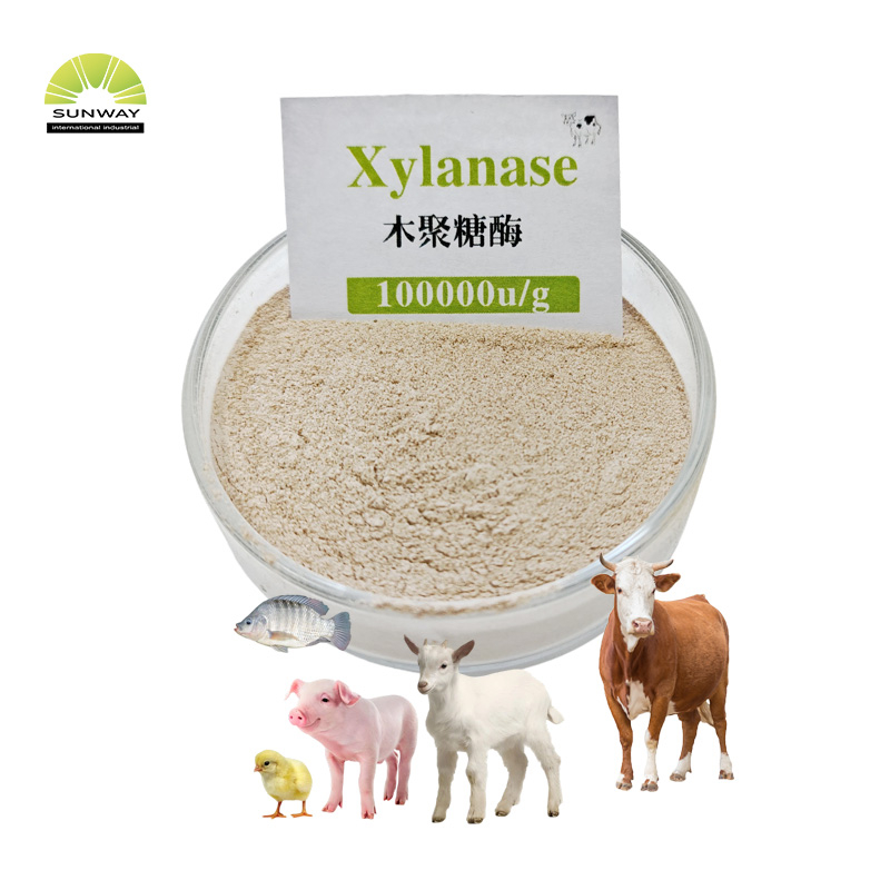 Xilanase termoestável da enzima xilanase de grau de alimentação para aves de capoeira