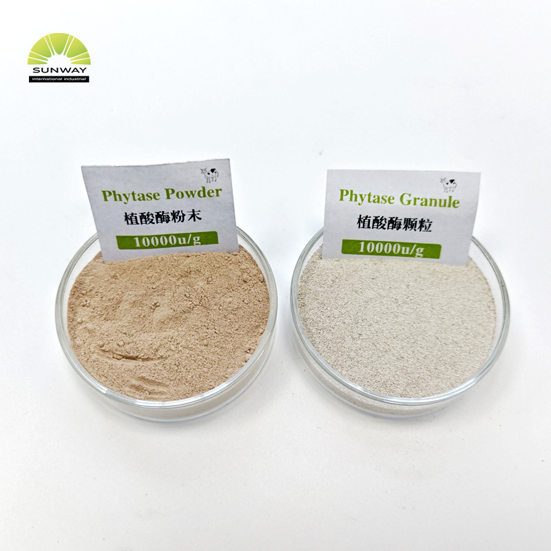 Enzima de fitase de grau de alimentação para aves de capoeira em pó de fitase estável em ácido Phytase 5000 e 10000 disponíveis