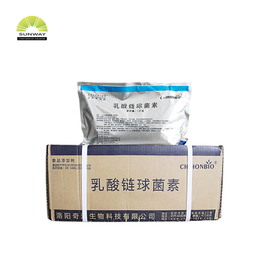 Nisina pura preservante Powder/CAS 1414-45-5/E234 dos aditivos de alimento 