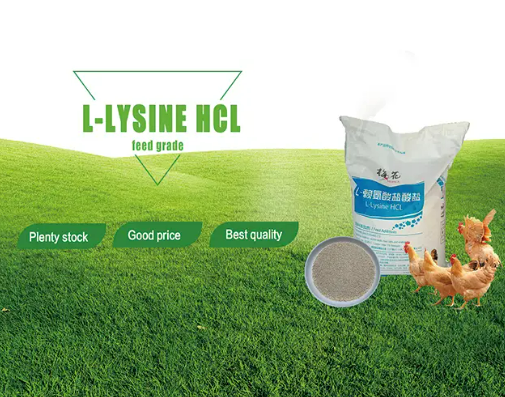 O que é cloridrato de lisina granular e por que é importante na alimentação da aquicultura?